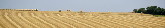 Image céréales