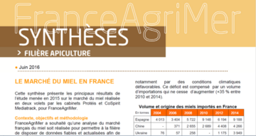 Analyse du marché du miel en France