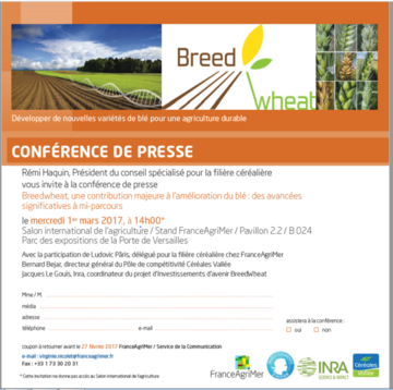 SIA 2017 : conférence de presse Breedwheat le mercredi 1er mars sur le stand de FranceAgriMer