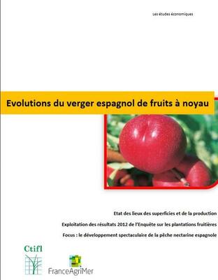 Synthèse de l'étude sur les évolutions du verger espagnol de fruits à noyau