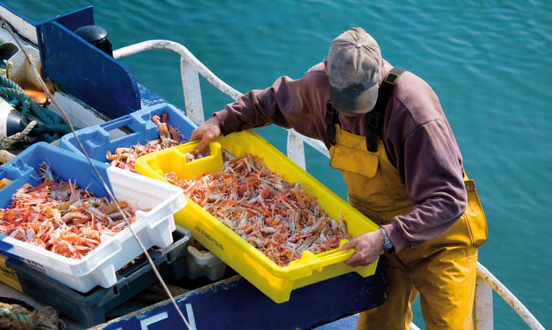 pêcheur sur son bateau